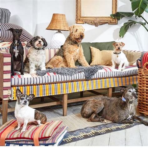 Four Dogs Sitting On A Striped Couch In A Living Room With Two Lamps