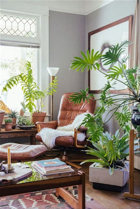 10 Beautiful Living Room Decorations With Inspiring Ornamental Plant