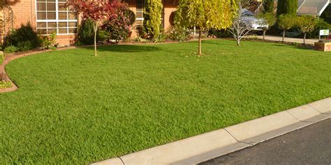 This is why lawn solutions australia provides a great range of the best turf grasses available. Lawn and Turf Suppliers | Bunnings NSW | Turf Growers Direct