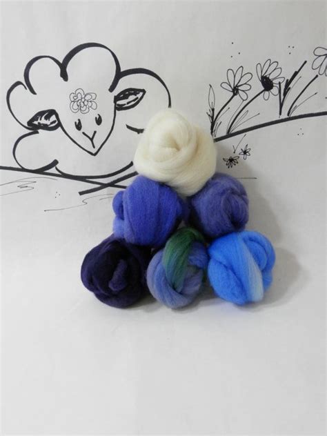 Wooly Buns Wool Roving Assortment 6 Piece Hand Dyed By Curlyfurr Needle