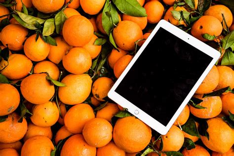 7000 Best Oranges Photos · 100 Free Download · Pexels Stock Photos