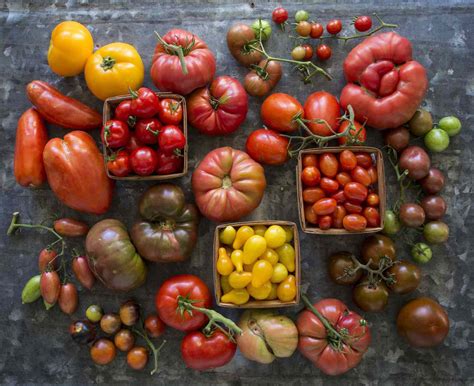 How To Store Tomatoes Eatingwell