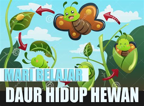 Daur hidup serangga ini mengalami perubahan bentuk yang disebut metamorfosis. Daur Hidup Nyamuk, Katak, Kupu-Kupu, Kecoak, dan Kucing : BELAJAR DAUR HIDUP HEWAN - Aftanalisis