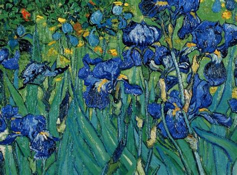 Vincent Van Gogh Irises Van Gogh Paintings Vincent Van Gogh