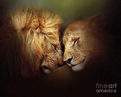 Lion Love By Robert Foster Lion Artwork Lion Love Lion Painting