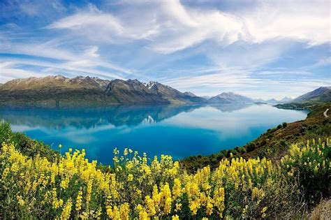 Nature Landscape Lake Yellow Wildflowers Turquoise