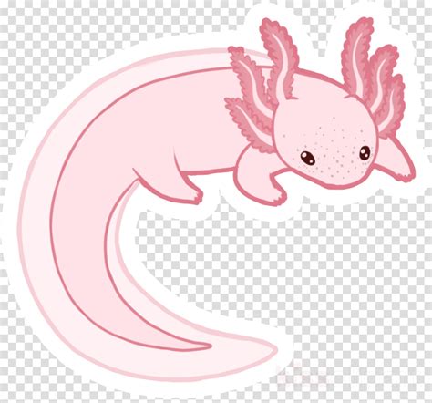 Axolotl Cute Colored Png Image Download As Svg Vector