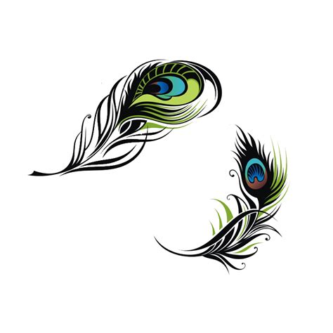 Bird Feather Peafowl Euclidean vector - Peacock feather png download - 800*800 - Free ...