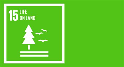 Get high quality logotypes for free. SDG 15 - Sustain Life on Land - Forest, Ground and Animals