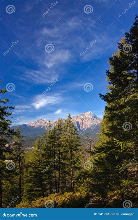 Rocky Mountains Stock Photo Image Of Vegetation Light 141781998