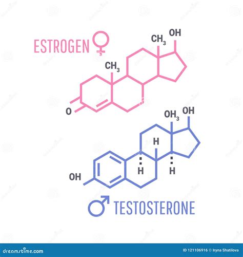 Estrogen And Testosterone Hormones Symbol Stock Vector Illustration Of Atoms Graphic 121106916