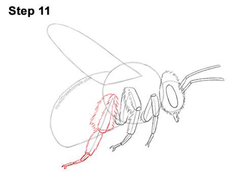 How To Draw A Bumblebee Video And Step By Step Pictures