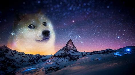 Dog Meme 1080p Wallpaper Hdwallpaper Desktop Pc Backgrounds Hd