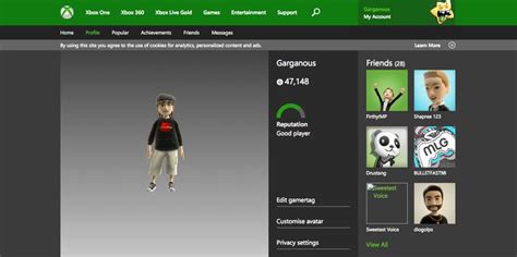 Xbox Gamertag Profile Best Player Xbox One User Profile