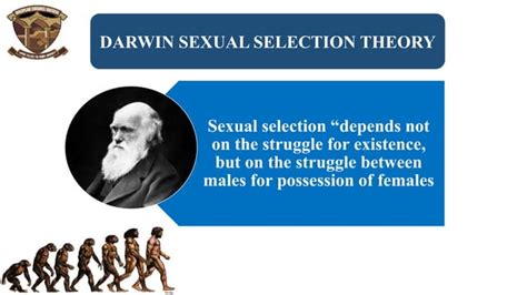 Darwin Sexual Selction Pangensis And Artificial Theory