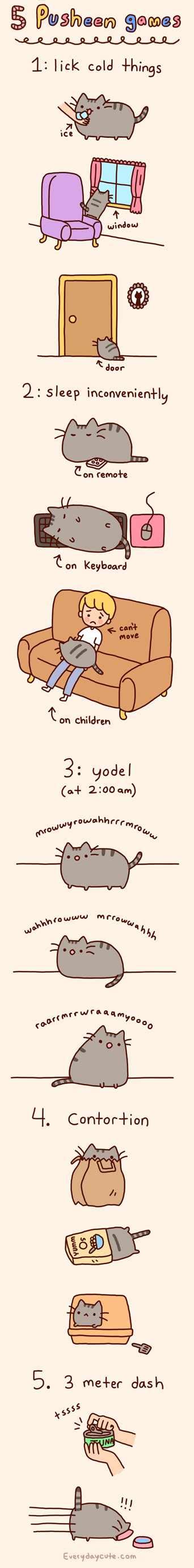 Pusheen Games Pusheen Cat Pusheen Crazy Cats