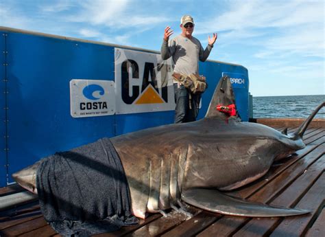 Shark attack data for nova scotia, canada. Study tracks great white sharks off Maine coast ...