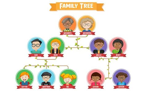 Vocabulario sobre el árbol genealógico en inglés E4K