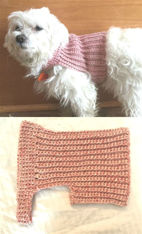 Messy Beautiful Fun Diy Crochet Dog Sweater