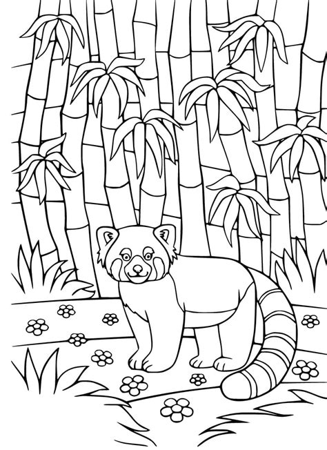 Red Panda Coloring Pages Free Printable Coloring Pages For Kids
