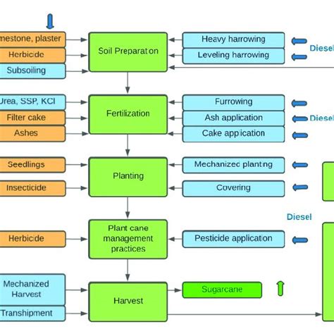 Process Flowchart Example Developed For Sugarcane Production Prepared