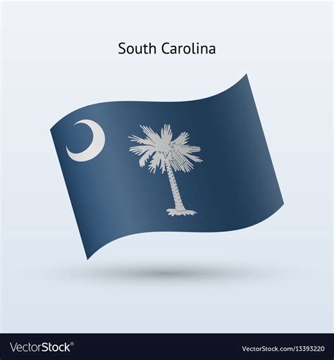 State Of South Carolina Flag Waving Form Vector Image