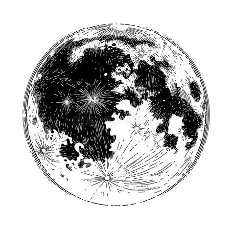 Graphic Full Moon Stock Vector Illustration Of Night 83417862
