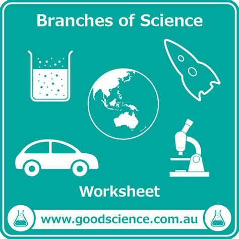 Branches Of Science Worksheet Good Science