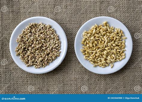 Raw Wheat Germ And Buckwheat Seeds On Two Plates Stock Photo Image Of