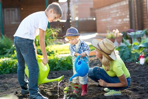Gardening With Children The First Steps Primary Times