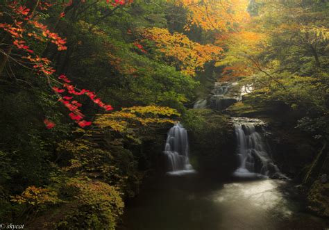 Wallpaper Japan Forest Fall Waterfall Nature Reflection River