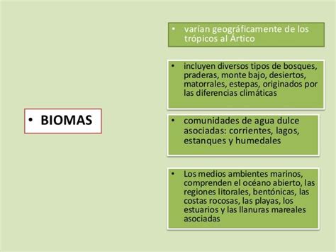 Biomas Cuadro Comparativo En Biomas Bioma Terrestre Bioma Images