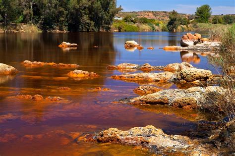 Río Tinto Desembocadura Recorrido Características Flora