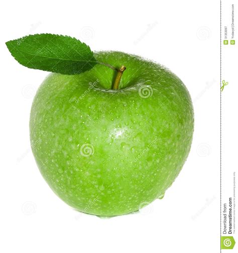 Fresh And Wet Green Apple Stock Image Image Of Fruitage