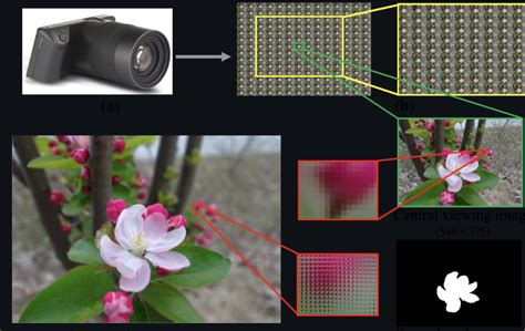 Lytro Illum Dataset Papers With Code