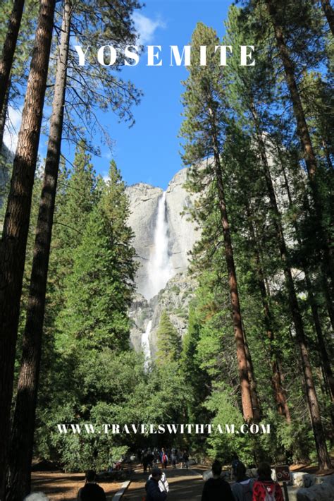 You Must Spend One Glorious Day At Yosemite National Park