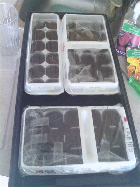 Maybe you would like to learn more about one of these? Pin by Brad Gold on Homemade Stuff | Homemade greenhouse ...