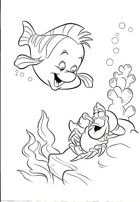 Flounder And Sebastian Sirena Para Colorear Princesa Para Pintar