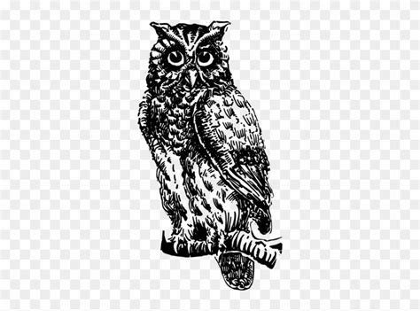 Download Great Horned Owl Bird Black And White Owl Animal Coruja No