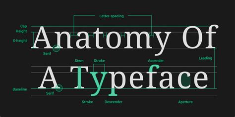 The Anatomy Of A Typeface Newu™ Advertising Agency
