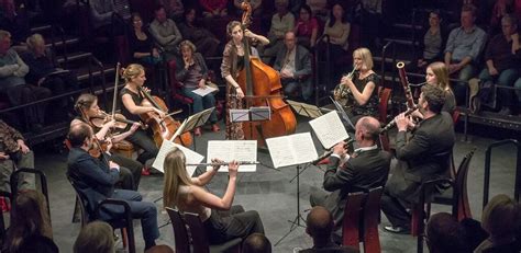 Determining public perception of classical musicians' livelihoods: A survey of concert-going ...