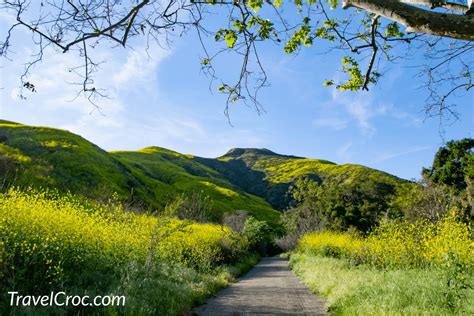 Hiking Trails In Malibu 10 Mind Blowing Hikes Routes And Tips