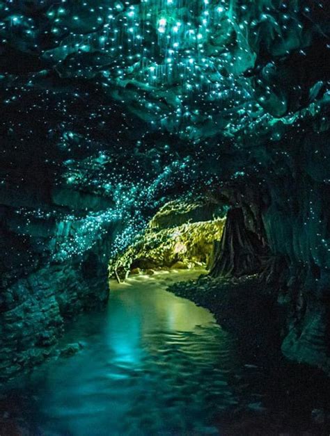 Waitomo Glowworm Caves Hd Wallpapers Places To Travel Glowworm