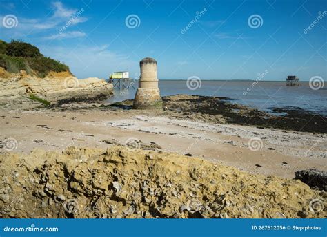 Coastal View Ile Madame Charente Maritime France Stock Photo Image Of Rock Horizon