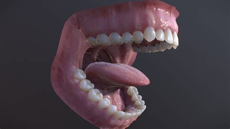 This Is A Hyperrealistic Human Mouth Model With Real Transluminescence Tongue And Teeth The