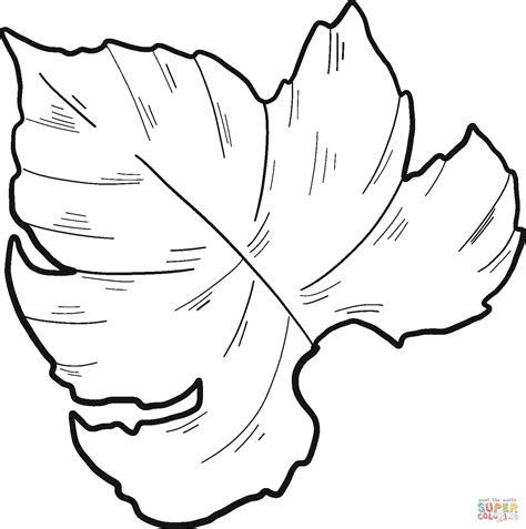 Grape Leaf Coloring Page Free Printable Coloring Pages