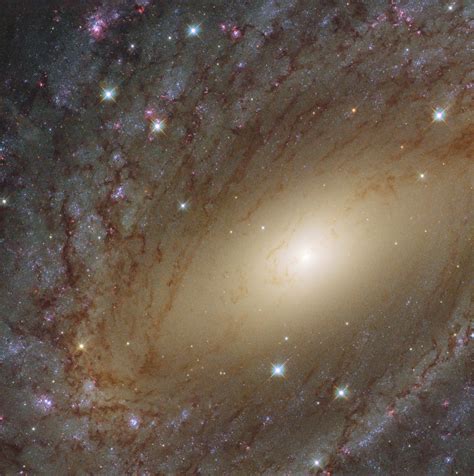 Hubble Image Of The Week The Milky Ways Big Sister