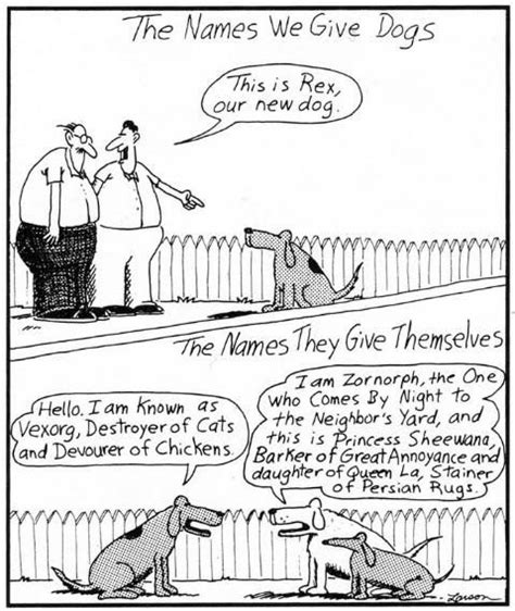 The Best 5 Far Side Dog Getting Tutored Starquotezone
