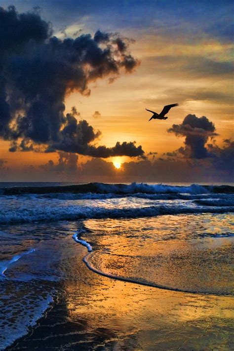 61317 Best Sunrise ☼ Sunset Images On Pinterest