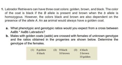 Solved 1 Labrador Retrievers Can Have Three Coat Colors